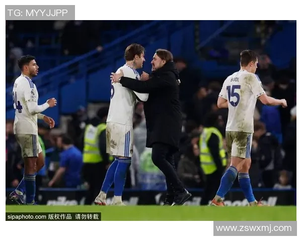 欧冠激战：里昂与切尔西战成平局绝杀瞬间引发全场狂欢集锦回顾